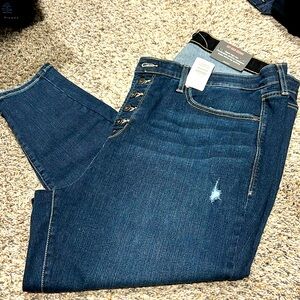 Torrid Jeans